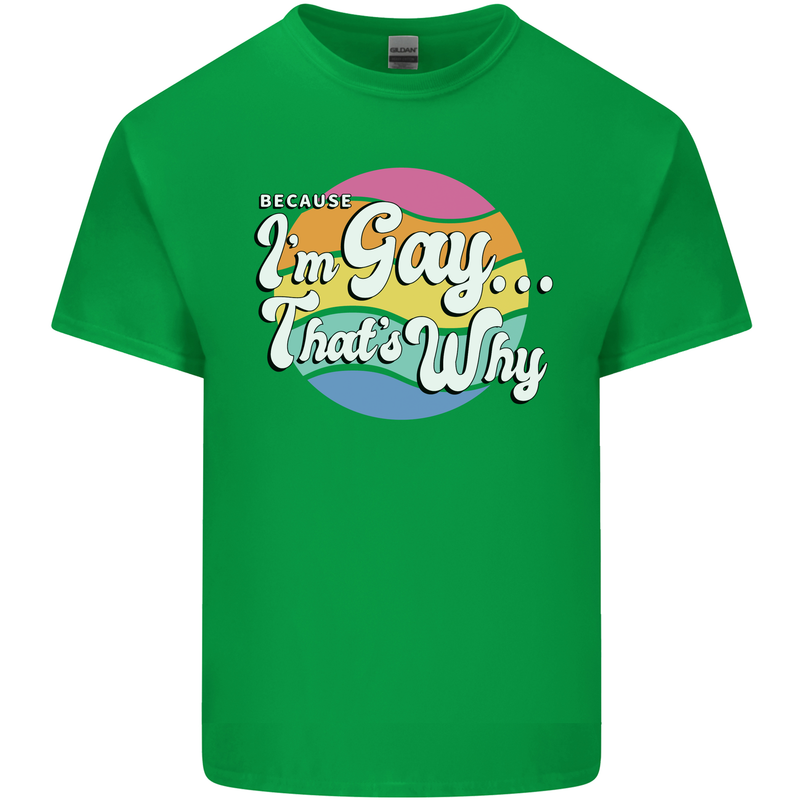 Proud To Be Gay LGBT Pride Awareness Mens Cotton T-Shirt Tee Top Irish Green