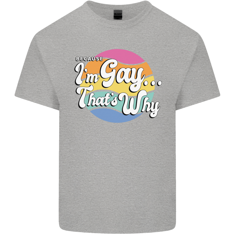 Proud To Be Gay LGBT Pride Awareness Mens Cotton T-Shirt Tee Top Sports Grey