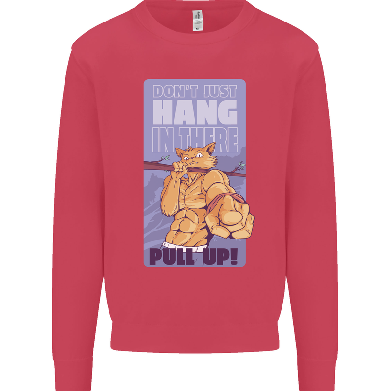 Pull Up Funny Cat Gym Training Mens Sweatshirt Jumper Heliconia