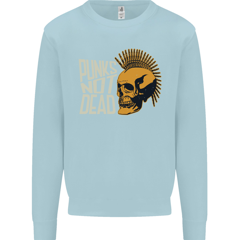 Punks Not Dead Skinhead Skull Kids Sweatshirt Jumper Light Blue