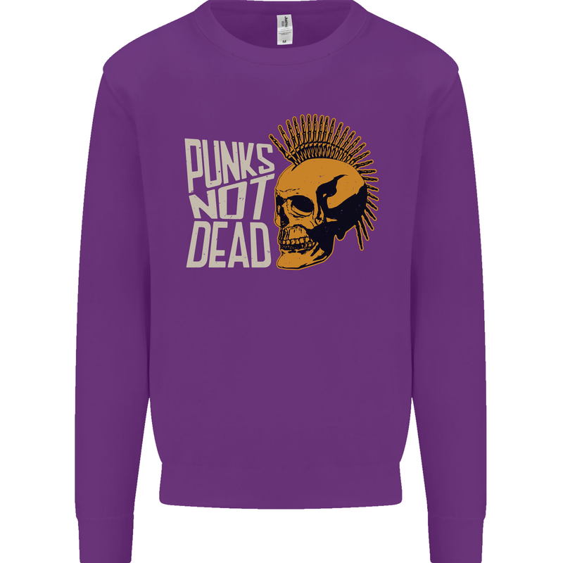 Punks Not Dead Skinhead Skull Kids Sweatshirt Jumper Purple