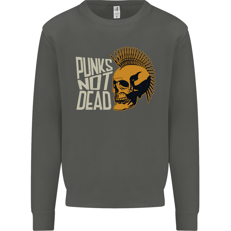 Punks Not Dead Skinhead Skull Kids Sweatshirt Jumper Storm Grey