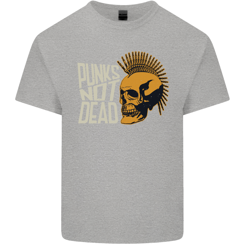 Punks Not Dead Skinhead Skull Kids T-Shirt Childrens Sports Grey