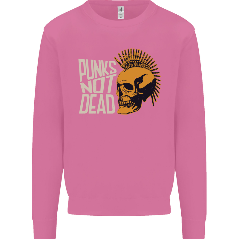 Punks Not Dead Skinhead Skull Mens Sweatshirt Jumper Azalea