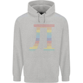 Rainbow Pie Day Maths Mathematics LGBT Mens 80% Cotton Hoodie Sports Grey