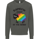 Rainbow Sheep Funny Gay Pride Day LGBT Kids Sweatshirt Jumper Storm Grey