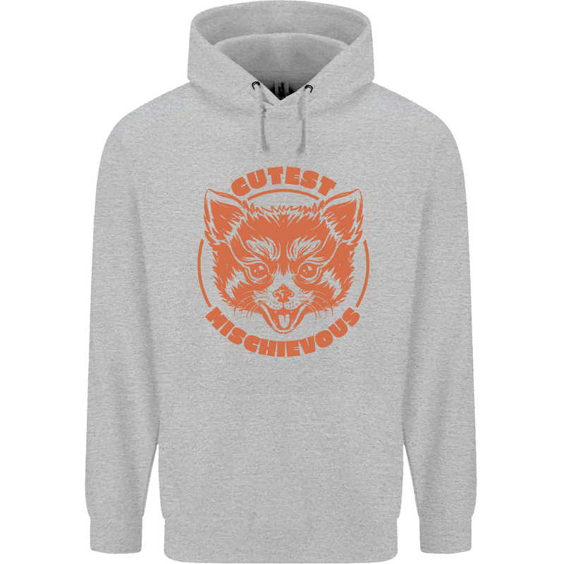 Red Panda Cutest Mischievous Childrens Kids Hoodie Sports Grey