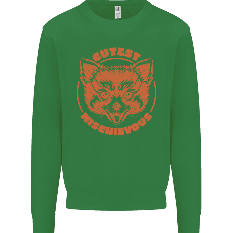 Red Panda Cutest Mischievous Kids Sweatshirt Jumper Irish Green