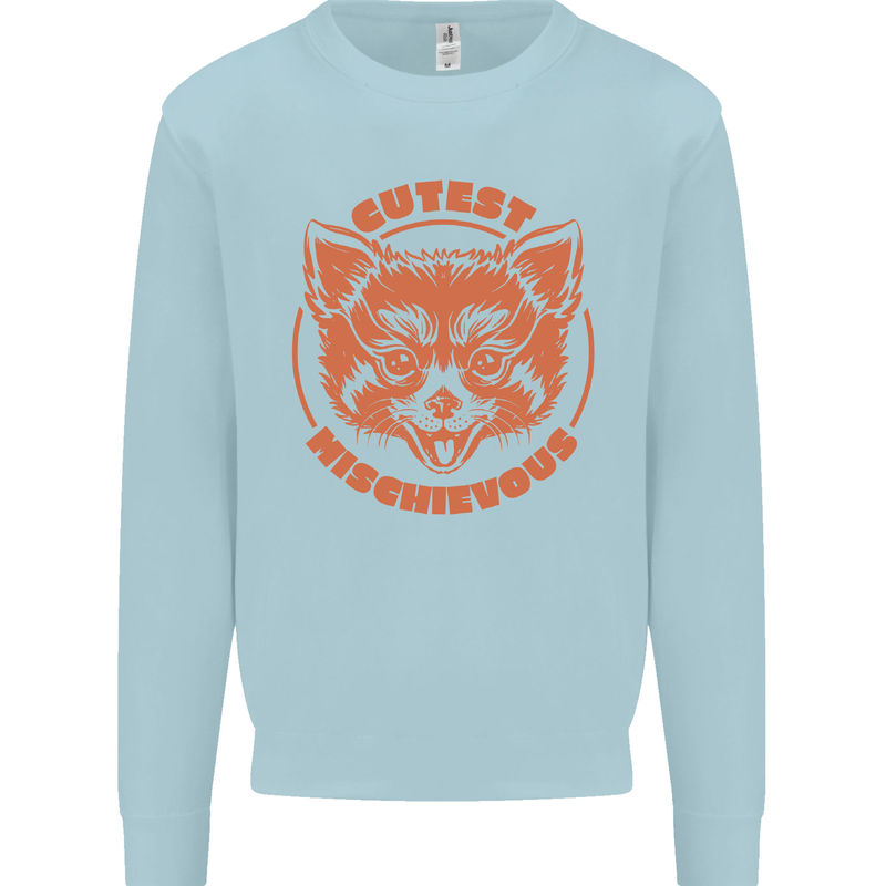 Red Panda Cutest Mischievous Kids Sweatshirt Jumper Light Blue