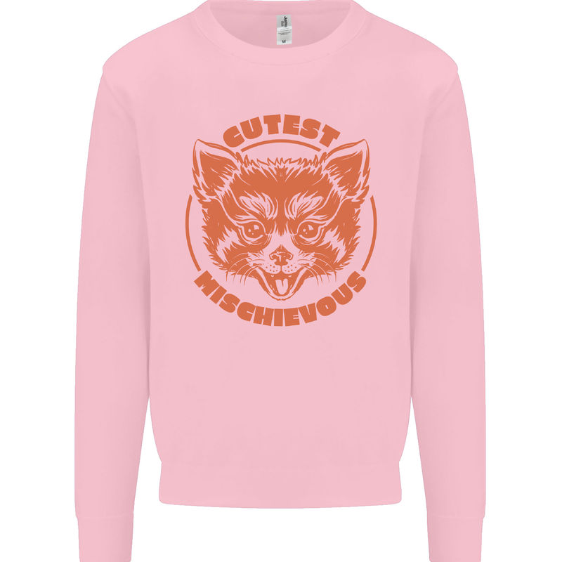 Red Panda Cutest Mischievous Kids Sweatshirt Jumper Light Pink