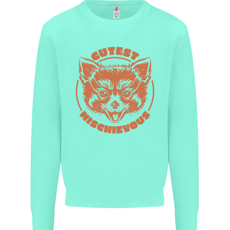 Red Panda Cutest Mischievous Kids Sweatshirt Jumper Peppermint
