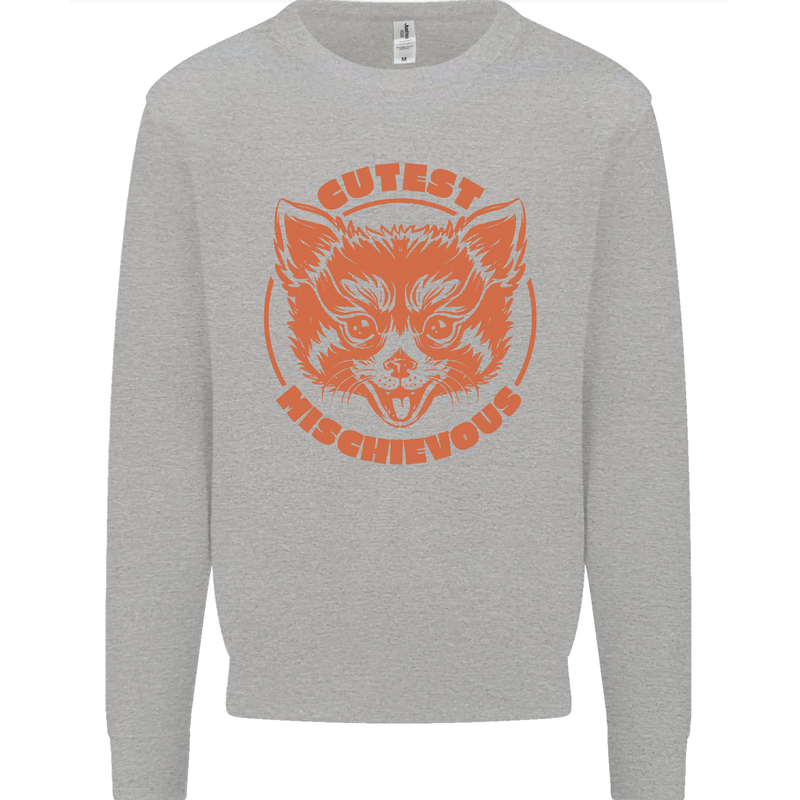 Red Panda Cutest Mischievous Kids Sweatshirt Jumper Sports Grey