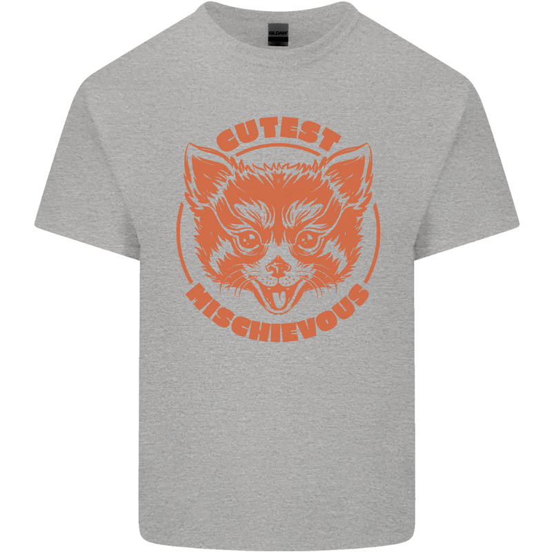 Red Panda Cutest Mischievous Mens Cotton T-Shirt Tee Top Sports Grey