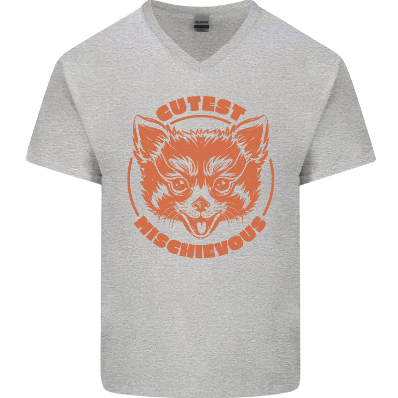 Red Panda Cutest Mischievous Mens V-Neck Cotton T-Shirt Sports Grey