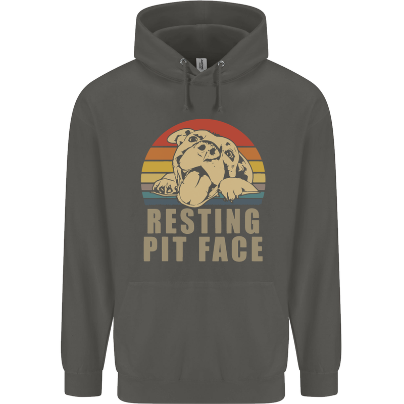 Resting Pit Bull Face Funny Dog Puppy Childrens Kids Hoodie Storm Grey