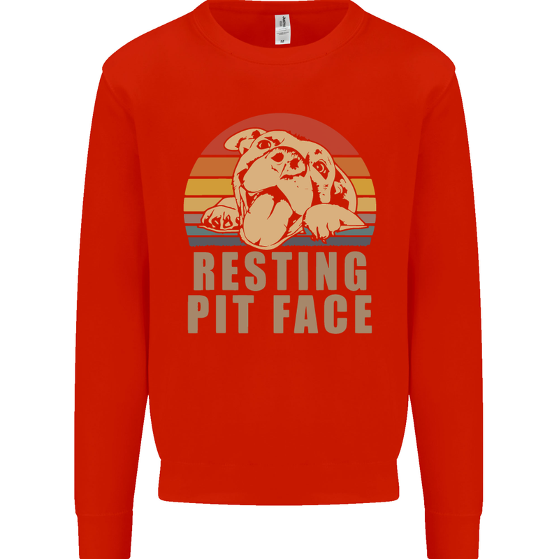 Resting Pit Bull Face Funny Dog Puppy Kids Sweatshirt Jumper Bright Red