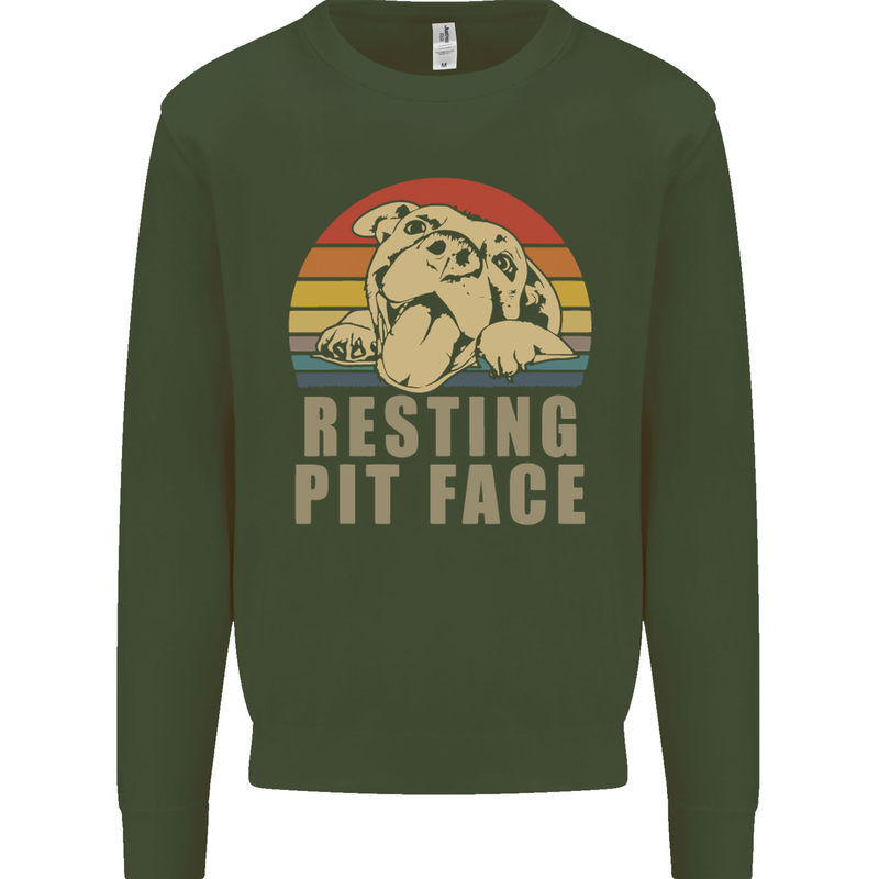 Resting Pit Bull Face Funny Dog Puppy Kids Sweatshirt Jumper Forest Green