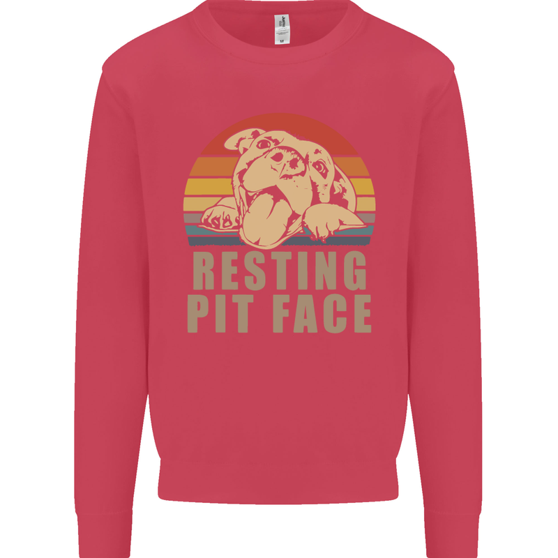 Resting Pit Bull Face Funny Dog Puppy Kids Sweatshirt Jumper Heliconia