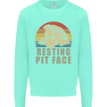 Resting Pit Bull Face Funny Dog Puppy Kids Sweatshirt Jumper Peppermint