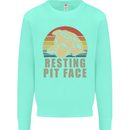 Resting Pit Bull Face Funny Dog Puppy Kids Sweatshirt Jumper Peppermint