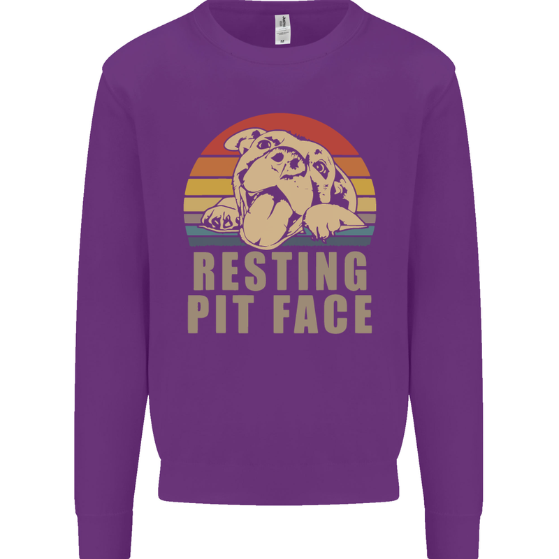 Resting Pit Bull Face Funny Dog Puppy Kids Sweatshirt Jumper Purple