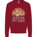 Resting Pit Bull Face Funny Dog Puppy Kids Sweatshirt Jumper Red