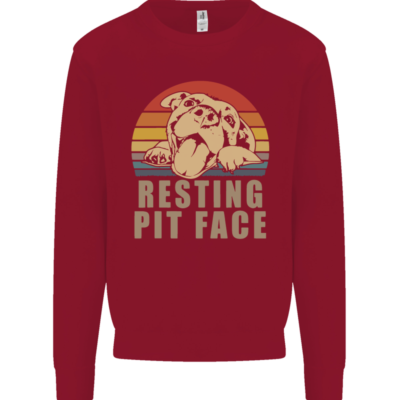 Resting Pit Bull Face Funny Dog Puppy Kids Sweatshirt Jumper Red