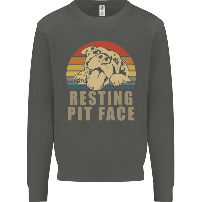 Resting Pit Bull Face Funny Dog Puppy Kids Sweatshirt Jumper Storm Grey