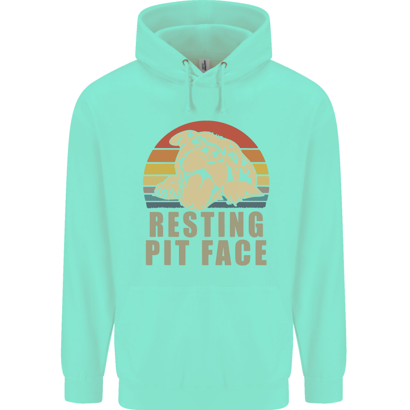 Resting Pit Bull Face Funny Dog Puppy Mens 80% Cotton Hoodie Peppermint