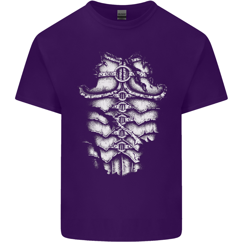 Roman Armour Fancy Dress Warrior Gym MMA Mens Cotton T-Shirt Tee Top Purple