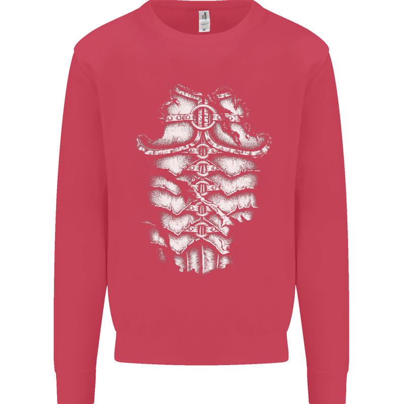 Roman Armour Fancy Dress Warrior Gym MMA Mens Sweatshirt Jumper Heliconia