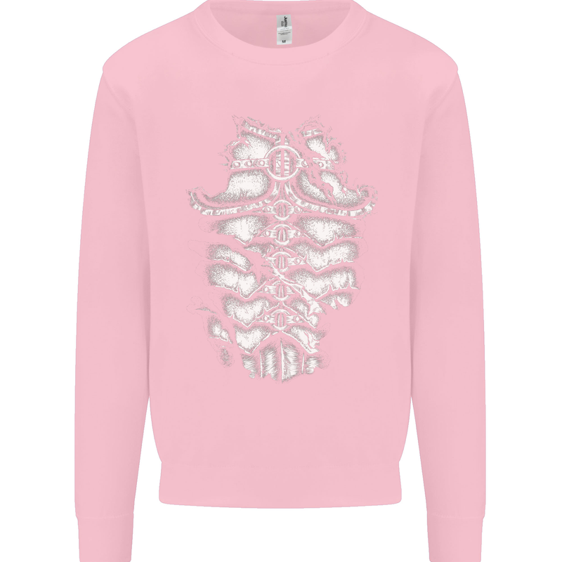 Roman Armour Fancy Dress Warrior Gym MMA Mens Sweatshirt Jumper Light Pink