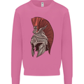 Roman Helmet Bodybuilding Gym Spartan Mens Sweatshirt Jumper Azalea