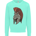 Roman Helmet Bodybuilding Gym Spartan Mens Sweatshirt Jumper Peppermint