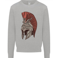Roman Helmet Bodybuilding Gym Spartan Mens Sweatshirt Jumper Sports Grey