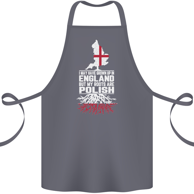 Roots In Poland Polish Polska Flag Orzel Cotton Apron 100% Organic Steel