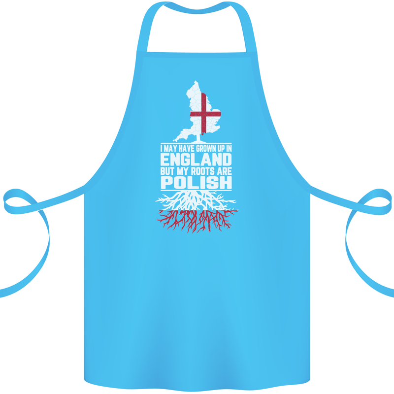 Roots In Poland Polish Polska Flag Orzel Cotton Apron 100% Organic Turquoise