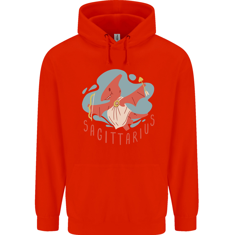 Sagittarius Dinosaur Pterosaurs Star Sign Childrens Kids Hoodie Bright Red