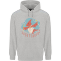 Sagittarius Dinosaur Pterosaurs Star Sign Childrens Kids Hoodie Sports Grey