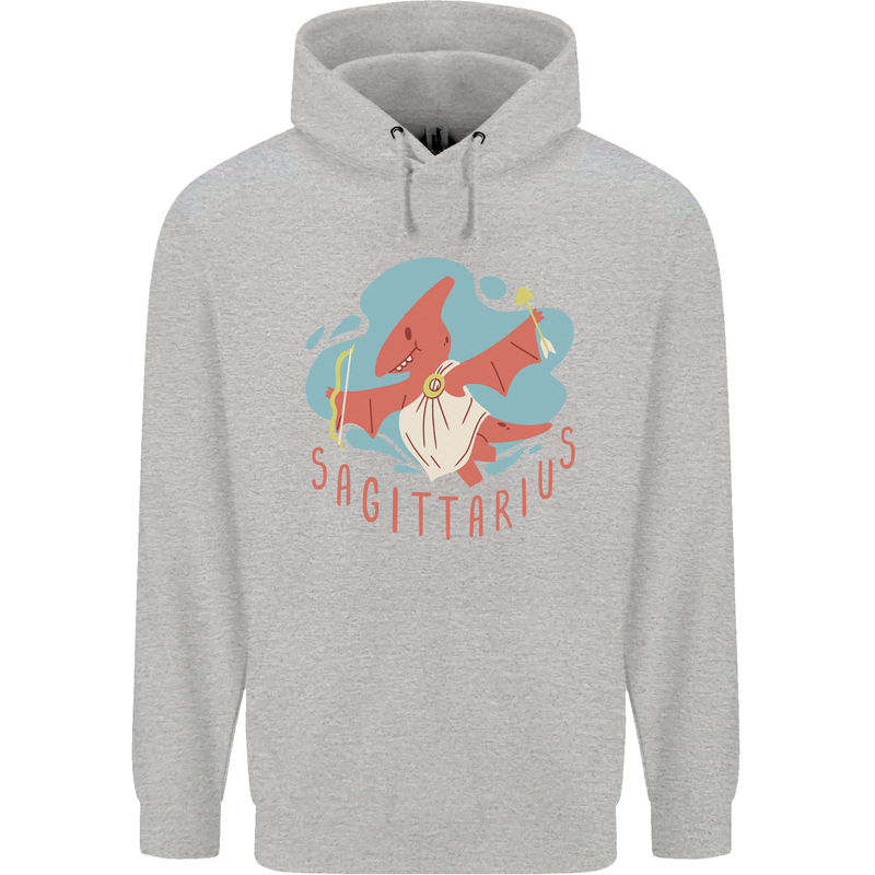 Sagittarius Dinosaur Pterosaurs Star Sign Childrens Kids Hoodie Sports Grey