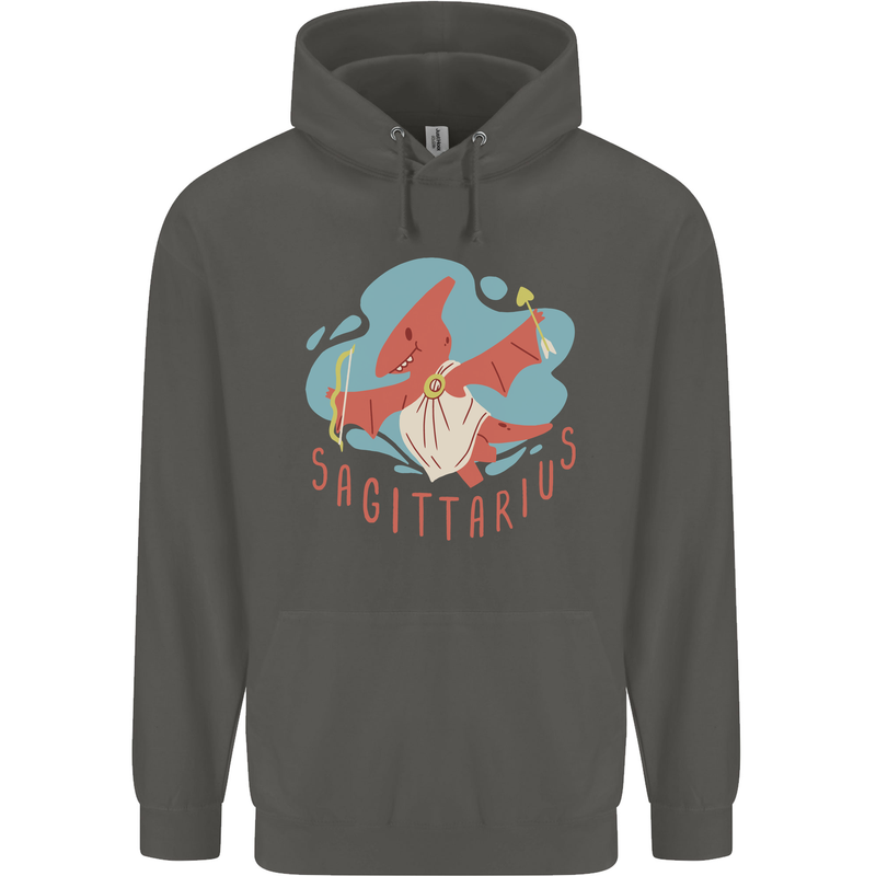 Sagittarius Dinosaur Pterosaurs Star Sign Childrens Kids Hoodie Storm Grey