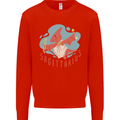Sagittarius Dinosaur Pterosaurs Star Sign Kids Sweatshirt Jumper Bright Red