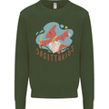Sagittarius Dinosaur Pterosaurs Star Sign Kids Sweatshirt Jumper Forest Green