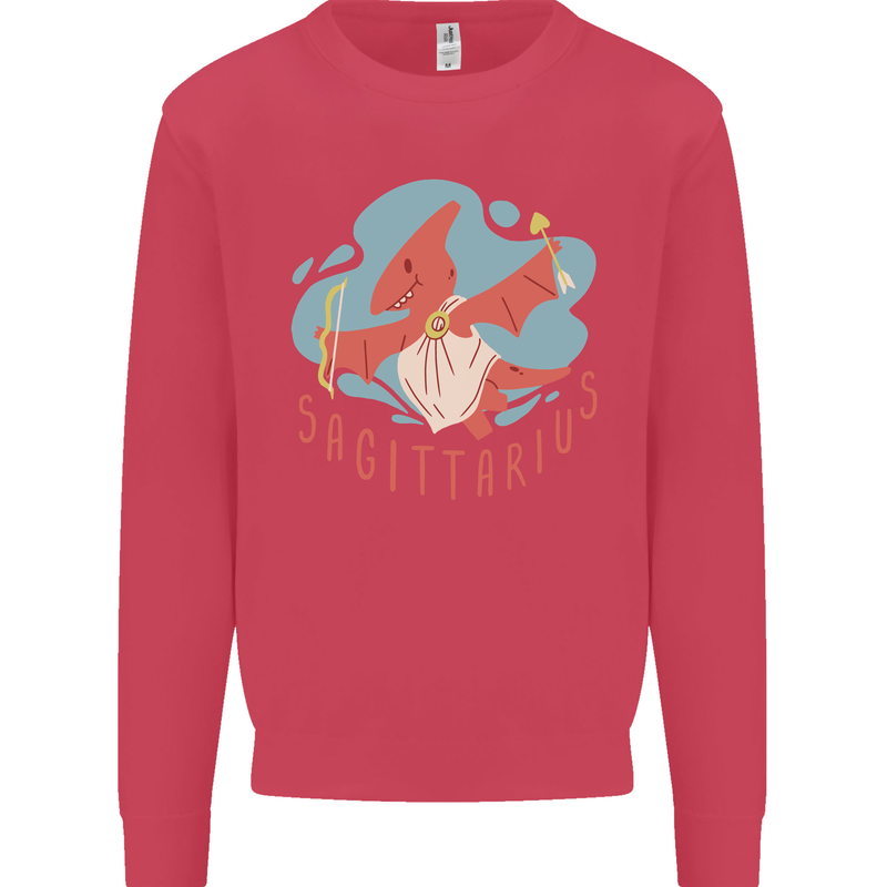 Sagittarius Dinosaur Pterosaurs Star Sign Kids Sweatshirt Jumper Heliconia