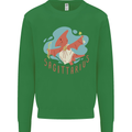 Sagittarius Dinosaur Pterosaurs Star Sign Kids Sweatshirt Jumper Irish Green