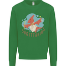 Sagittarius Dinosaur Pterosaurs Star Sign Kids Sweatshirt Jumper Irish Green