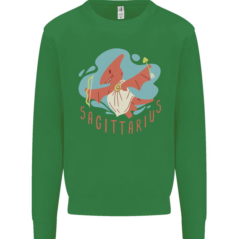 Sagittarius Dinosaur Pterosaurs Star Sign Kids Sweatshirt Jumper Irish Green