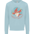 Sagittarius Dinosaur Pterosaurs Star Sign Kids Sweatshirt Jumper Light Blue