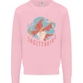 Sagittarius Dinosaur Pterosaurs Star Sign Kids Sweatshirt Jumper Light Pink