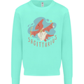 Sagittarius Dinosaur Pterosaurs Star Sign Kids Sweatshirt Jumper Peppermint